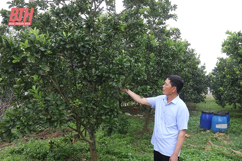 Lan tỏa phong trào thi đua “Dân vận khéo” ở Đông Sơn