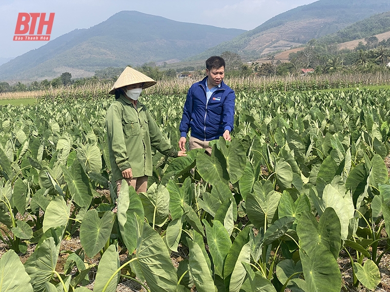 “Cầu nối” đưa nghị quyết của Đảng vào cuộc sống ở Cẩm Thủy